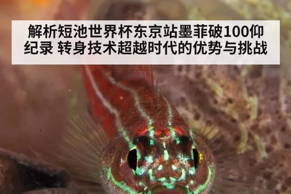解析短池世界杯东京站墨菲破100仰纪录 转身技术超越时代的优势与挑战
