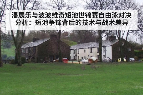 潘展乐与波波维奇短池世锦赛自由泳对决分析:短池争锋背后的技术与战术差异